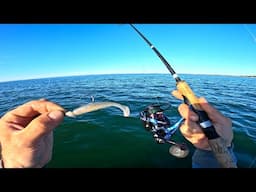 Lets Go Fishing With Swimbait Lures