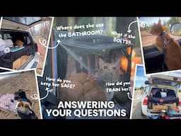 How to Travel with a Cat - Safety Tips - Training Cats for the Car, Backpack, Leash, and Bathroom