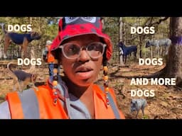 HELD HOSTAGE BY RURAL AGGRESSIVE DOGS