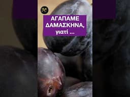 ΑΓΑΠΑΜΕ ΔΑΜΑΣΚΗΝΑ, γιατί.. #διατροφή #δαμάσκηνα #meacolpa17