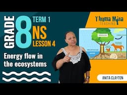 Gr 8 Natural Sciences | Term 1 | Lesson 4 - Energy flow in ecosystems