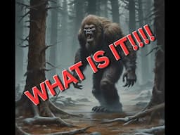 WHAT IS IT?