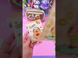 DESEMBALAGEM - ESTOJO DE LÁPIS KAWAII CAPYBARA #shorts