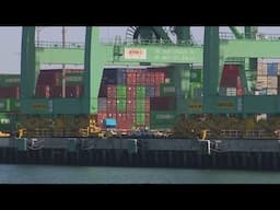 When will the US start seeing impacts from Trump's tariffs?