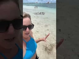 #PuntaCana day 4 update! Reviewing the beach at Lopesan Resort ☀️🌊🏝️