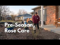 Pruning and Dormant Spray for Roses 2025