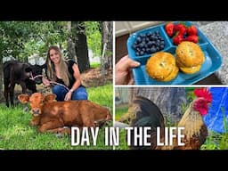 Spend the Day with Me | Being a Content Creator, Introducing You to my Baby Cows, & Catching Up!