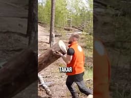 ВЫЖИВАНИЕ ТОЛЬКО С ПИЛОЙ ДРУЖБА В диком ЛЕСУ 🪚 #фрост #shorts #frost #выживание #бушкрафт