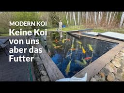 Thomas 38.000 Liter Teich | Modern Koi Blog #7441