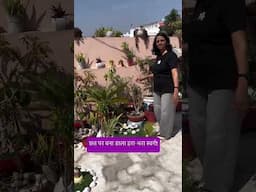 Terrace को बनाएं हरियाली से भरा स्वर्ग – अब Gardening सिर्फ ज़मीन तक नहीं रही