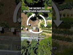 The Secret to Effortless Gardening