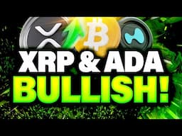Crypto Whales Buying THESE 3 Alts - HYPE & XRP Dominate!