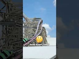 How many times can you ride a roller coaster in one day? 🐊🎢