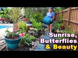 Simple Joys in My Carolina Garden | Sunrise, Butterflies & Beautiful Containers