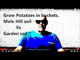 Grow Potatoes at home in buckets filled with mole hill soil. This is a compilation video.