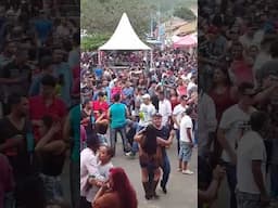 Forrozando 2