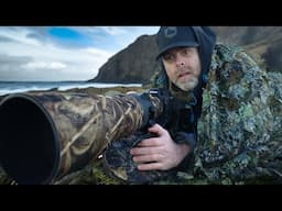 5 Days of waterfowl photography - How important is camouflage?