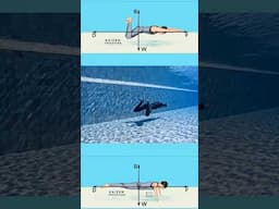 No fins Freediving Training #freediver #kaizenfreediving #freediving