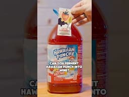 Let’s Make Wine From Hawaiian Punch