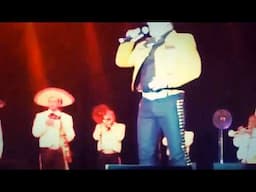 PEDRO CHAVIRA camino de Guanajuato