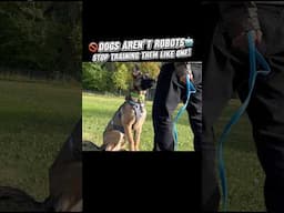🚫 Dogs are not robots 🤖 so STOP training them like one!! #dogtraining #traineddog #offleash #dogs
