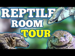 UK 🇬🇧 Reptile Room Tour 2025!