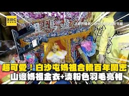 超可愛！白沙屯媽祖合轎百年閨密 山邊媽祖金衣+淡粉色羽毛亮相
