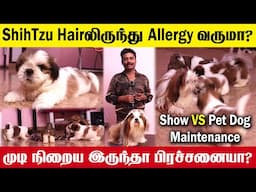 New born Puppy Care Tips | Dogs ஏன் கடிக்குறாங்க? ShihTzu வளர்ப்பவர்களே கவனிக்கவும்! | Dog Grooming