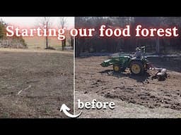 We are starting a Food Forest; preparing the field