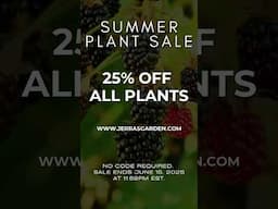 25% Off All Plants! Summer Plant Sale Ends Soon 🌞