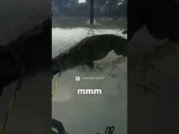 Hunting gators with a crossbow 🐊🐊🏹 | theHunter: Call of the Wild