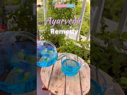 🍵💙This Blue Tea is Going Viral– Here’s Why You NEED to Try It! DIY Aparajita Tea -Sushmita's Diaries