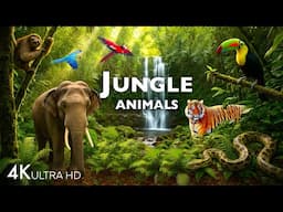 JUNGLE ANIMAL DISCOVERY / 60FPS 4K ULTRA HD #4K #ANIMALS