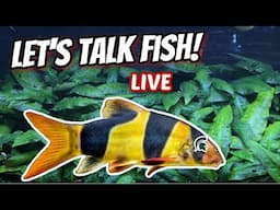 Let's Talk About Fish, College Decisions, and an Exciting New Fish Addition!
