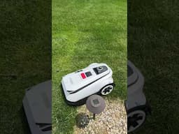 This Robot Mows Better Than You! 🐐 Ecovacs GOAT A3000
