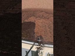 Piles of Moss Removed From this Roof! #satisfying #roofcleaning #specialist #pressurewashing #clean