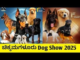 ಚಿಕ್ಕಮಗಳೂರು Dog Show 2025 | Dog show | 2025 | Pet care kannada