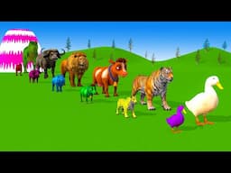 Long Slide Game With Elephant Gorilla Buffalo Hippopotamus Tiger - 3d Animal Game - Funny 3d Animals