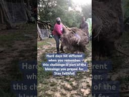 Homesteading life is tough, but amazing Together 💪#countryliving #homestead #farmlife #godisgood