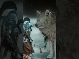 Why to play the Soulframe Alpha #soulframe