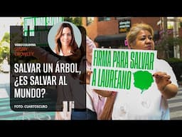 Salvar un árbol, ¿es salvar al mundo?. Por Susan Crowley