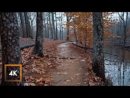 Calm Rain Walk in Nature | Rain Sounds for Sleep & Study ASMR