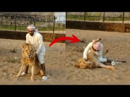 یاروں کو ہنسانے کےلئے عربی خود چل کر موت کے منہ میں بھی چلا جائیگا Arabs Are The Funniest People
