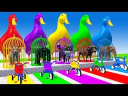Long Slide Game With Elephant Gorilla Buffalo Hippopotamus Tiger - 3d Animal Game - Funny 3d Animals