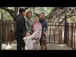 Rediscover Your Houston Zoo in the Heart of Houston
