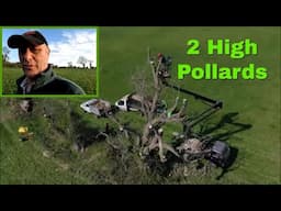 10/04/25  A Barley update and two high Ash pollards.