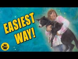 Teach Dog to Jump in Arms - THE EASY WAY!