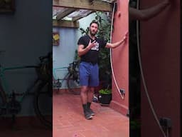 Bent to Straight Knee Calf Raise