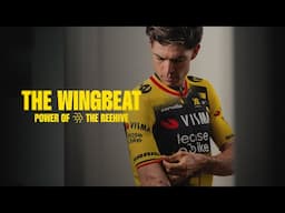 Our Special Tour of Flanders Jersey! - THE WINGBEAT | Power of the Beehive 🐝