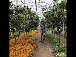 Farming for seeds